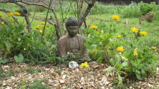 Green Gulch Zen Farm Buddha